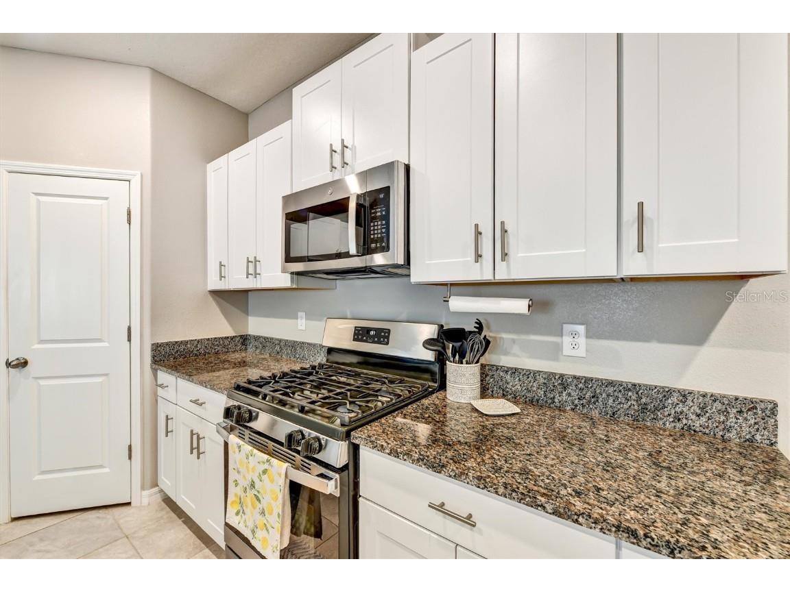 9742 Lemon Drop Loop Sun City Center FL 33573 TB8447330 image14