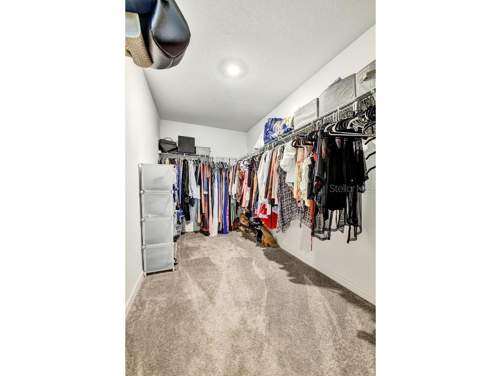 9742 Lemon Drop Loop Sun City Center FL 33573 TB8447330 image23