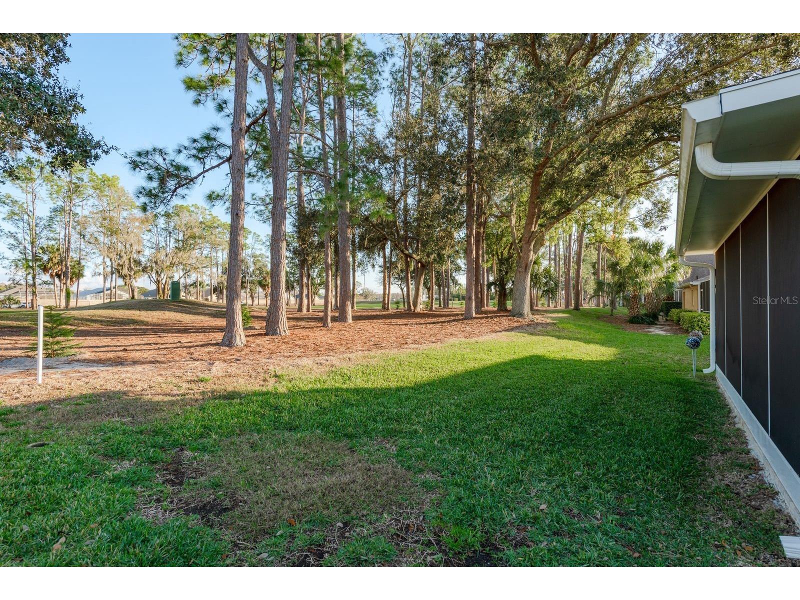 9742 Oakwood Hills Court New Port Richey FL 34655 TB8461802 image35