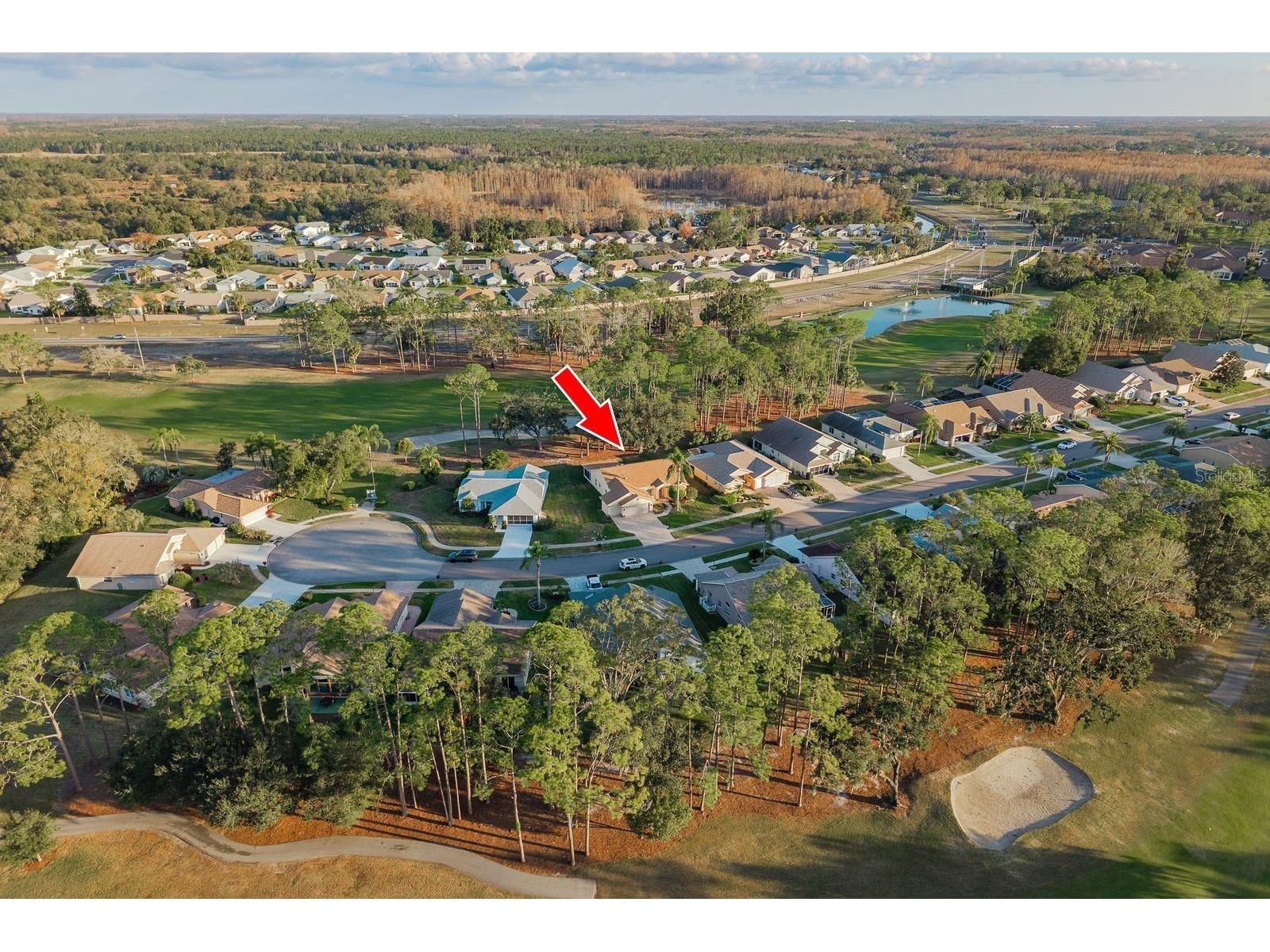 9742 Oakwood Hills Court New Port Richey FL 34655 TB8461802 image42
