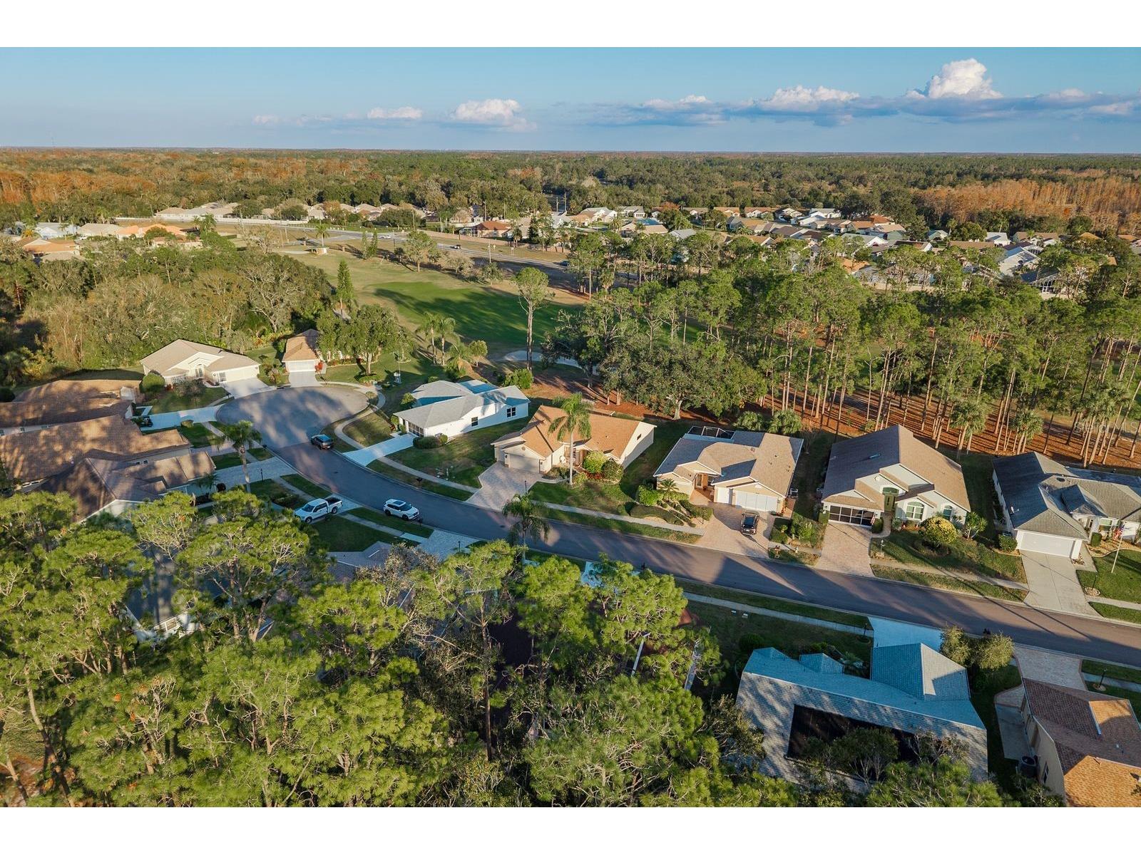 9742 Oakwood Hills Court New Port Richey FL 34655 TB8461802 image48