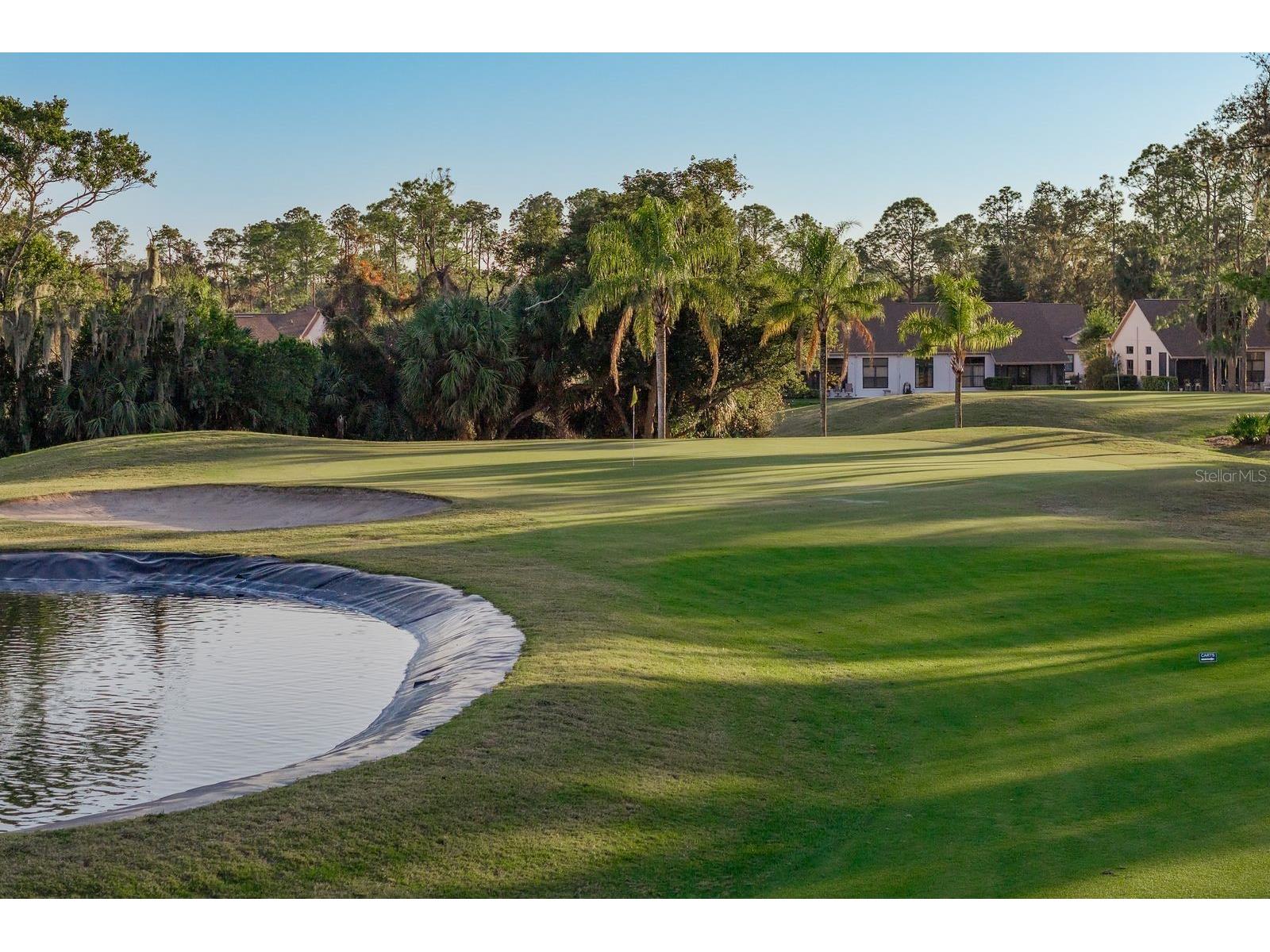9742 Oakwood Hills Court New Port Richey FL 34655 TB8461802 image52