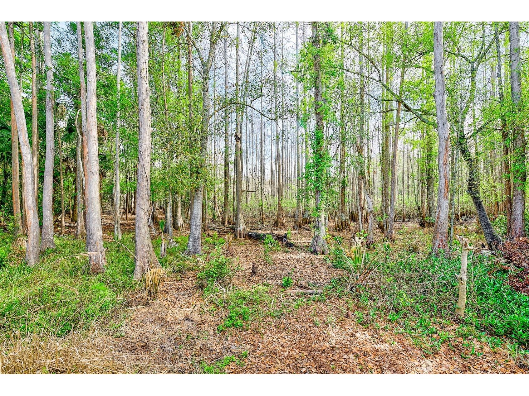 9743 Hermosillo Drive New Port Richey FL 34655 TB8485283 image49