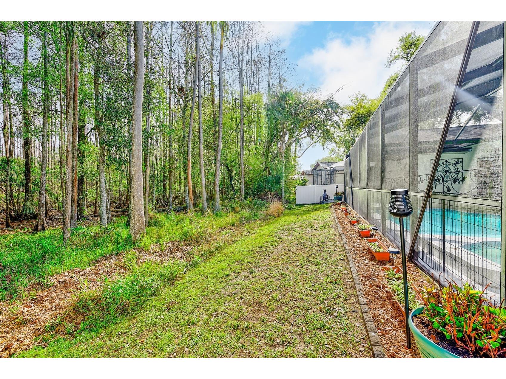 9743 Hermosillo Drive New Port Richey FL 34655 TB8485283 image51