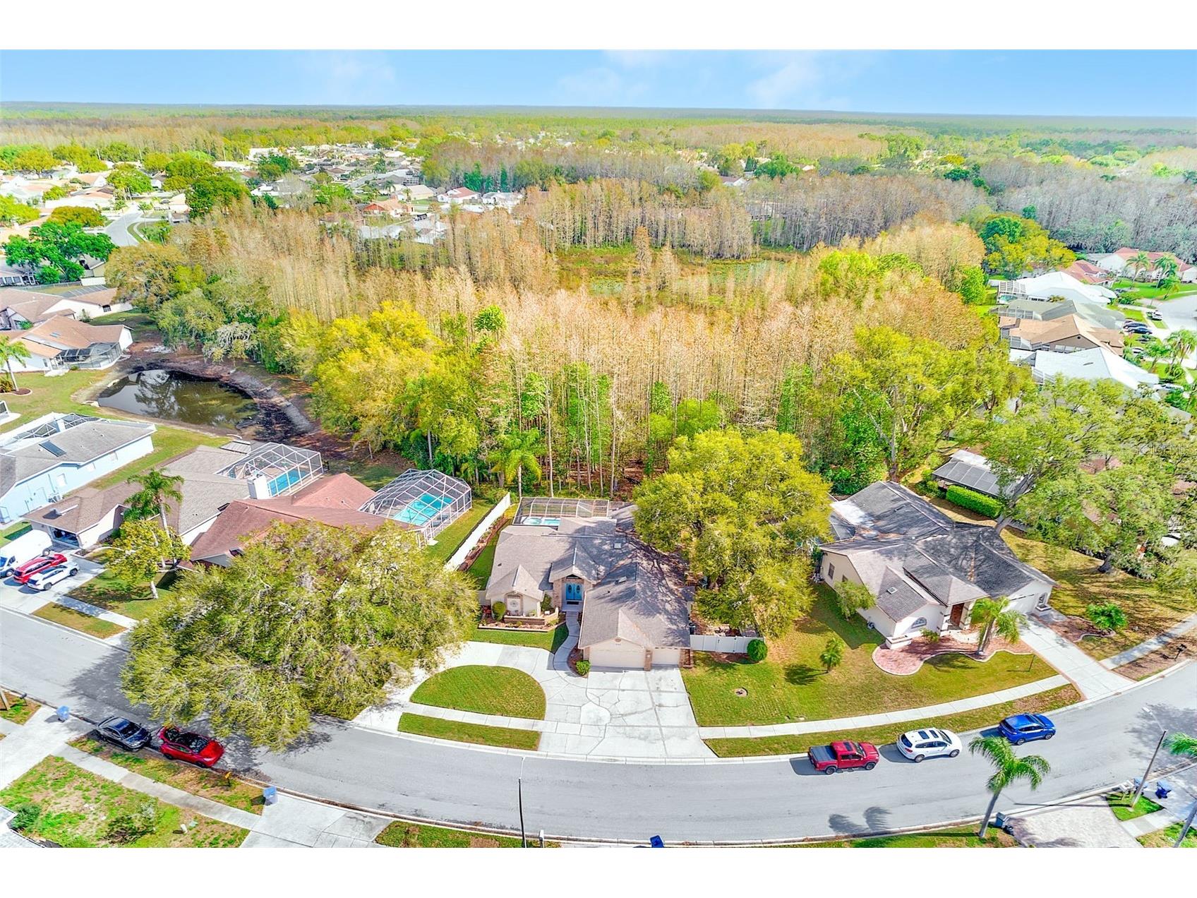 9743 Hermosillo Drive New Port Richey FL 34655 TB8485283 image55