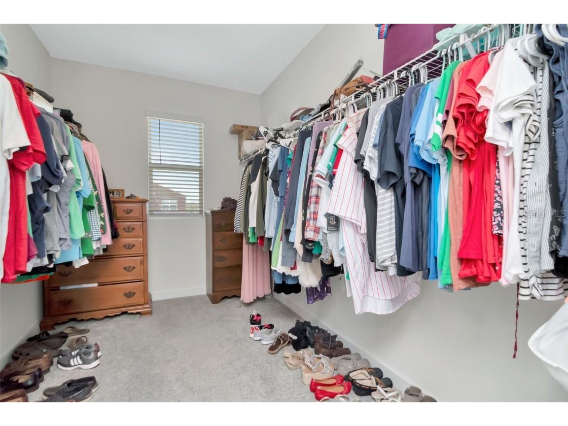 9744 Crescent Ray Drive Wesley Chapel FL 33545 TB8461074 image17