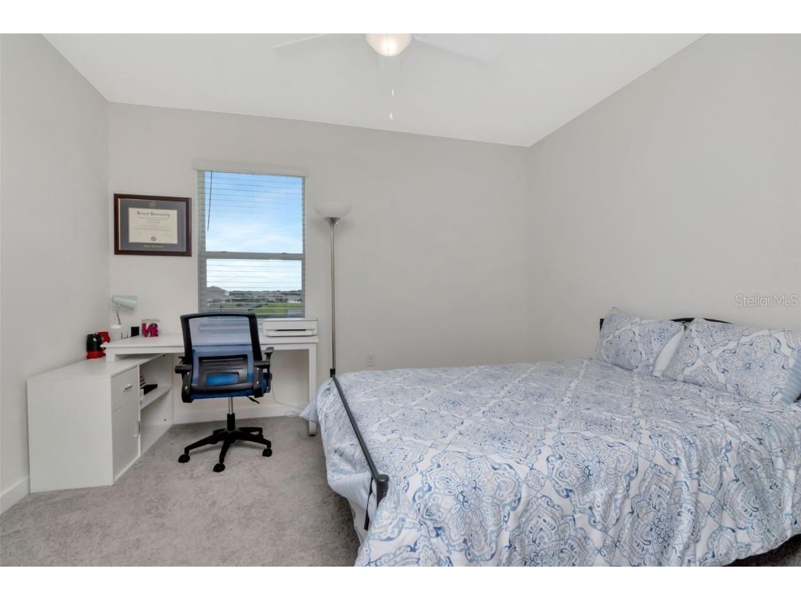 9744 Crescent Ray Drive Wesley Chapel FL 33545 TB8461074 image20