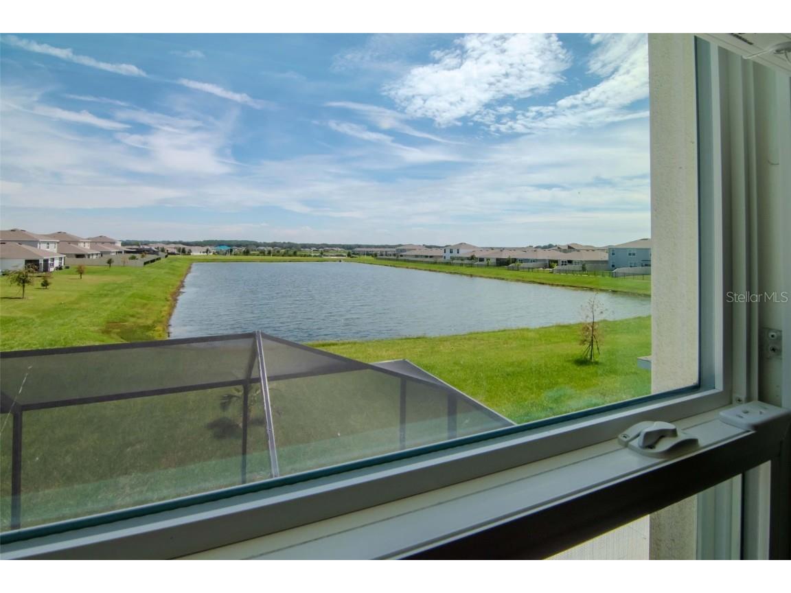 9744 Crescent Ray Drive Wesley Chapel FL 33545 TB8461074 image21