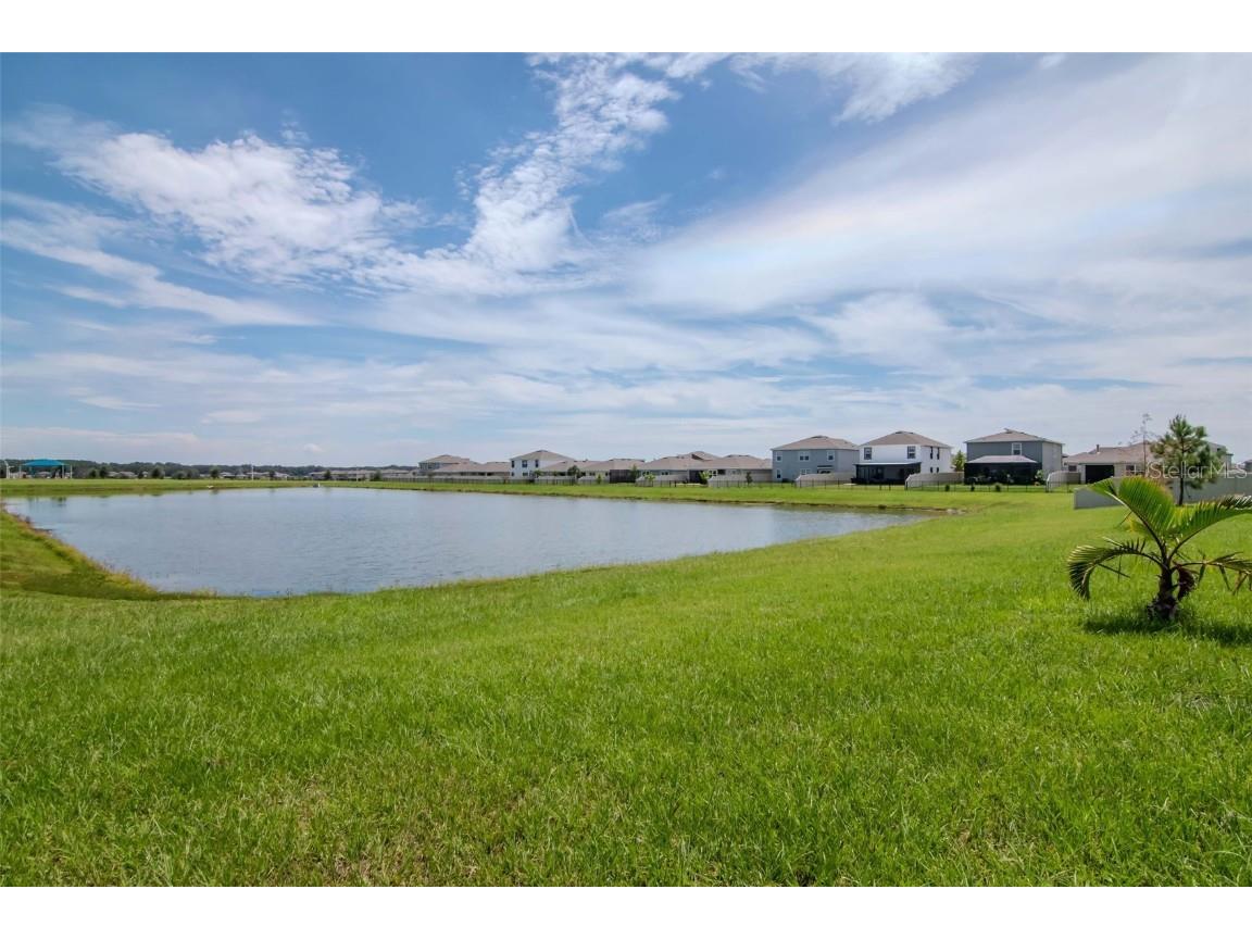 9744 Crescent Ray Drive Wesley Chapel FL 33545 TB8461074 image33