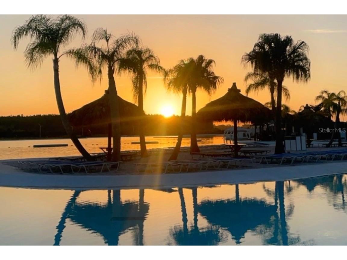 9744 Crescent Ray Drive Wesley Chapel FL 33545 TB8461074 image39