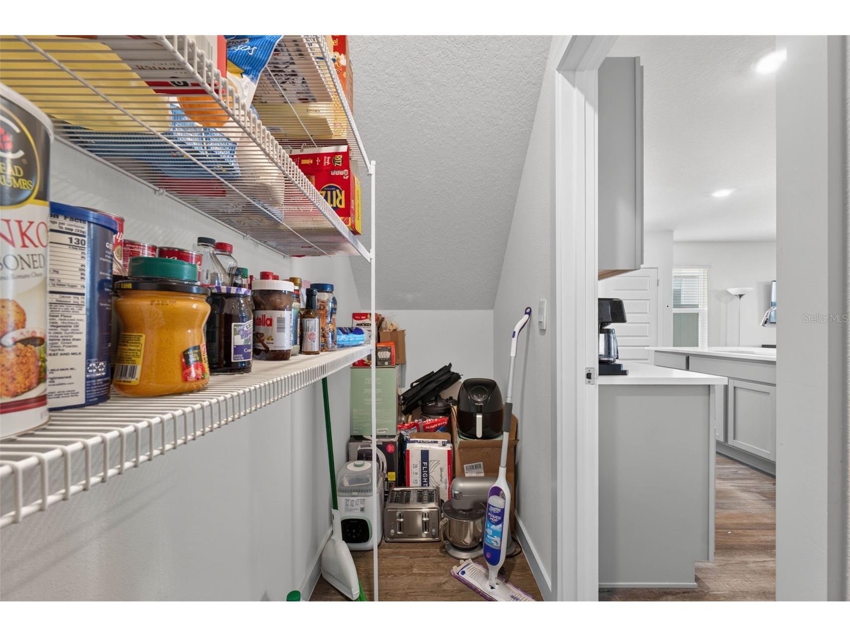 9744 Crescent Ray Drive Wesley Chapel FL 33545 TB8532029 image16