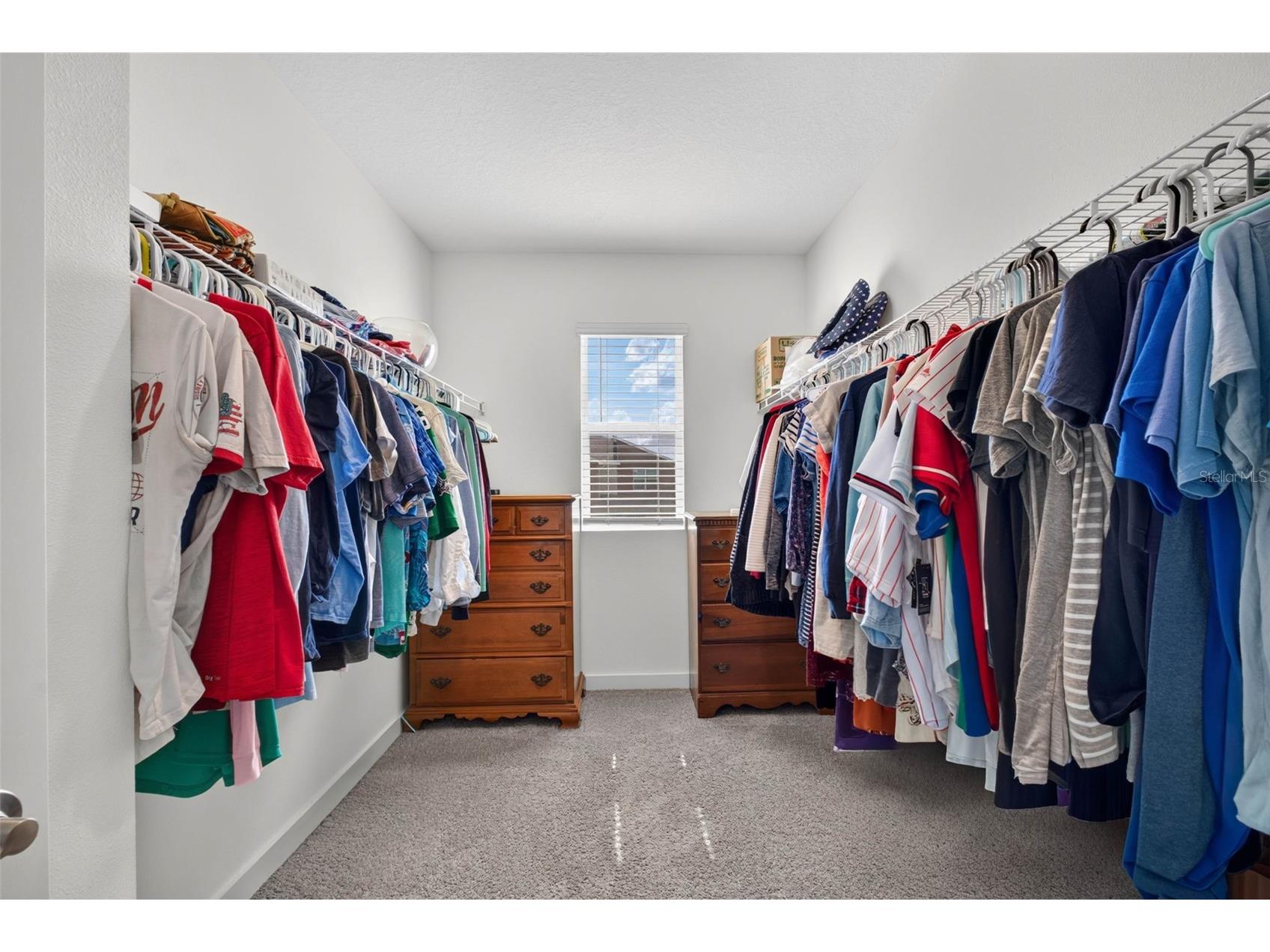 9744 Crescent Ray Drive Wesley Chapel FL 33545 TB8532029 image35