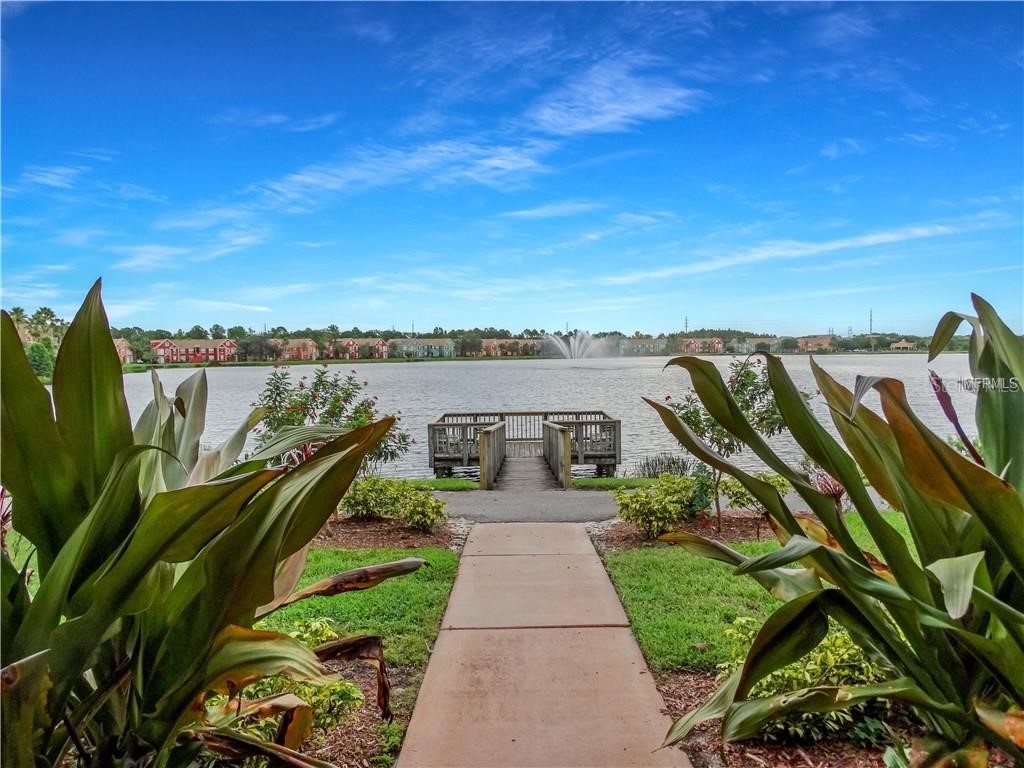 9744 Lake Chase Island Way Tampa FL 33626 TB8514820 image15