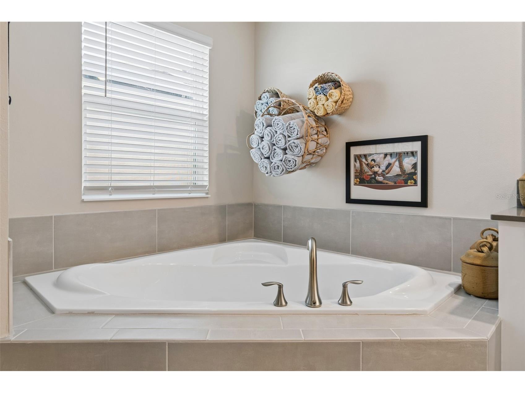 9745 Introduction Way Orlando FL 32832 O6417761 image40
