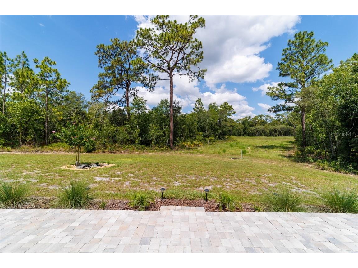 9746 SW 108th Terrace Road Ocala FL 34481 OM704477 image41