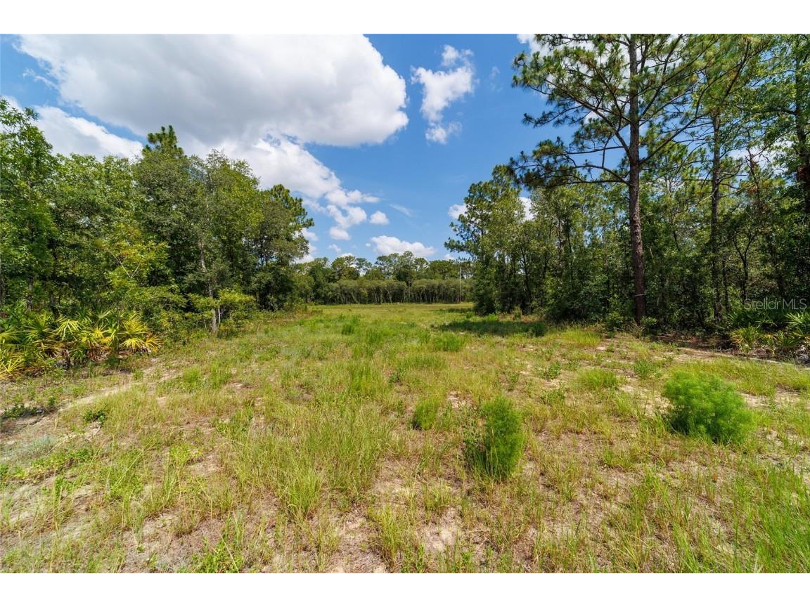 9746 SW 108th Terrace Road Ocala FL 34481 OM704477 image44