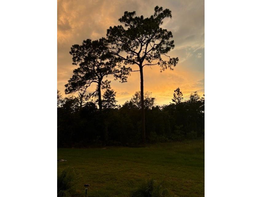 9746 SW 108th Terrace Road Ocala FL 34481 OM704477 image45