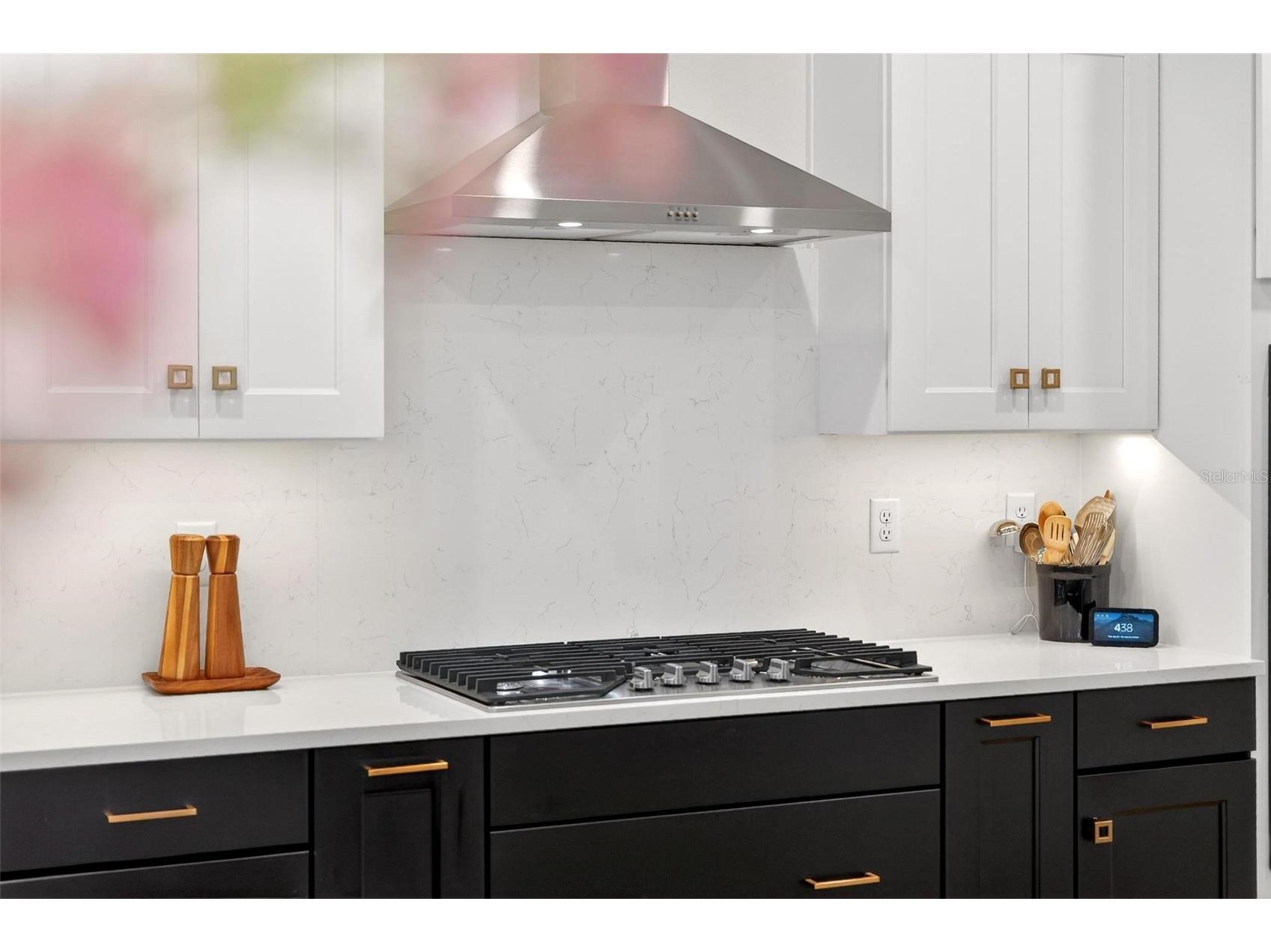 9746 SW 108th Terrace Road Ocala FL 34481 OM717224 image30