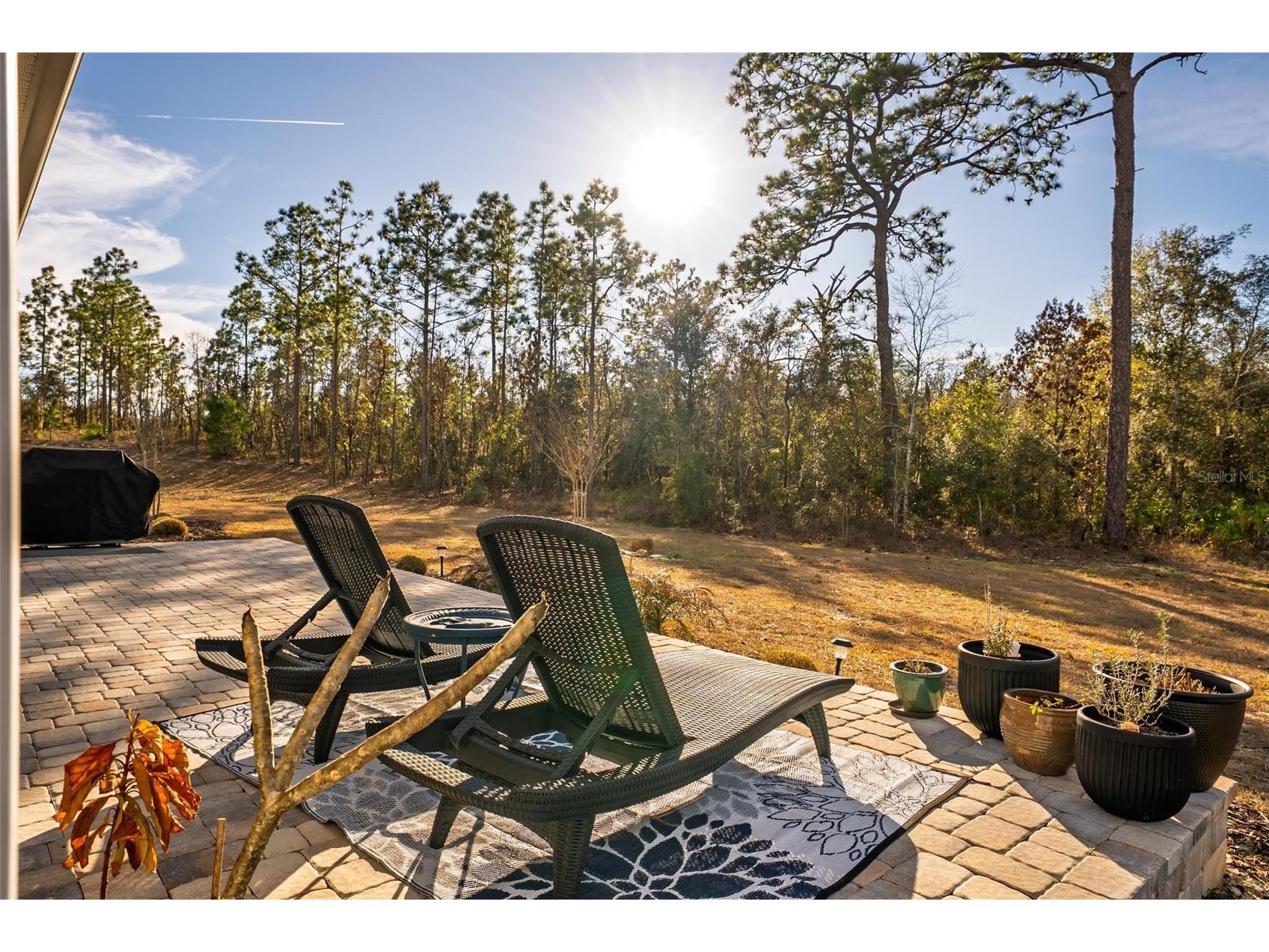 9746 SW 108th Terrace Road Ocala FL 34481 OM717224 image89