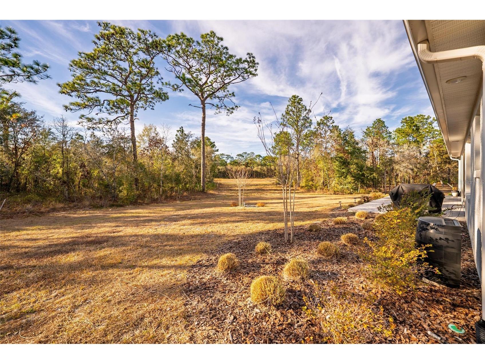 9746 SW 108th Terrace Road Ocala FL 34481 OM717224 image93