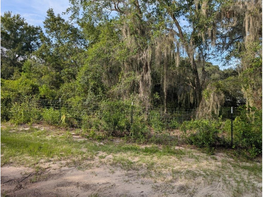 9747 NE 302nd Court Salt Springs FL 32134 - Lake George OM706444 image2