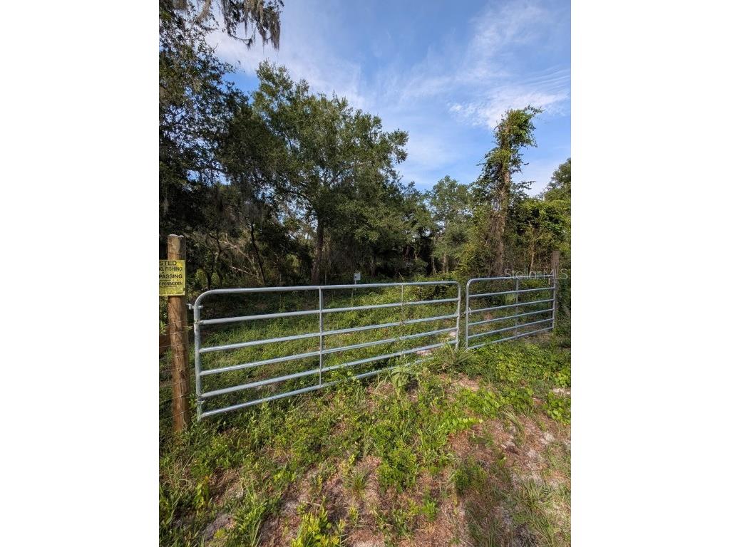 9747 NE 302nd Court Salt Springs FL 32134 - Lake George OM706444 image3