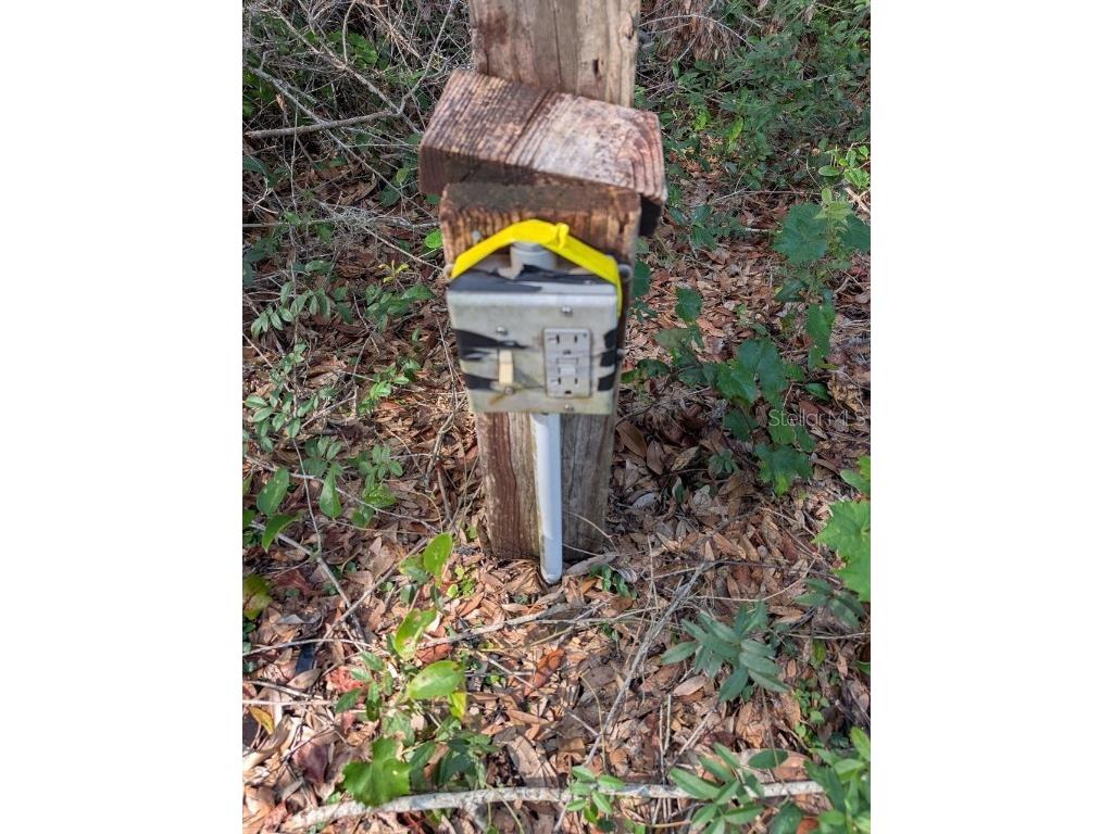 9747 NE 302nd Court Salt Springs FL 32134 - Lake George OM706444 image5