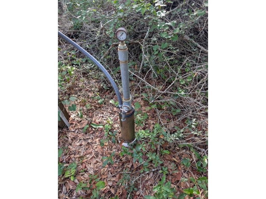 9747 NE 302nd Court Salt Springs FL 32134 - Lake George OM706444 image6