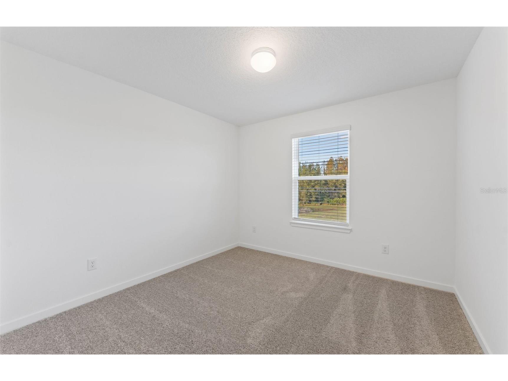 9748 Crescent Moon Drive Riverview FL 33578 TB8498191 image19