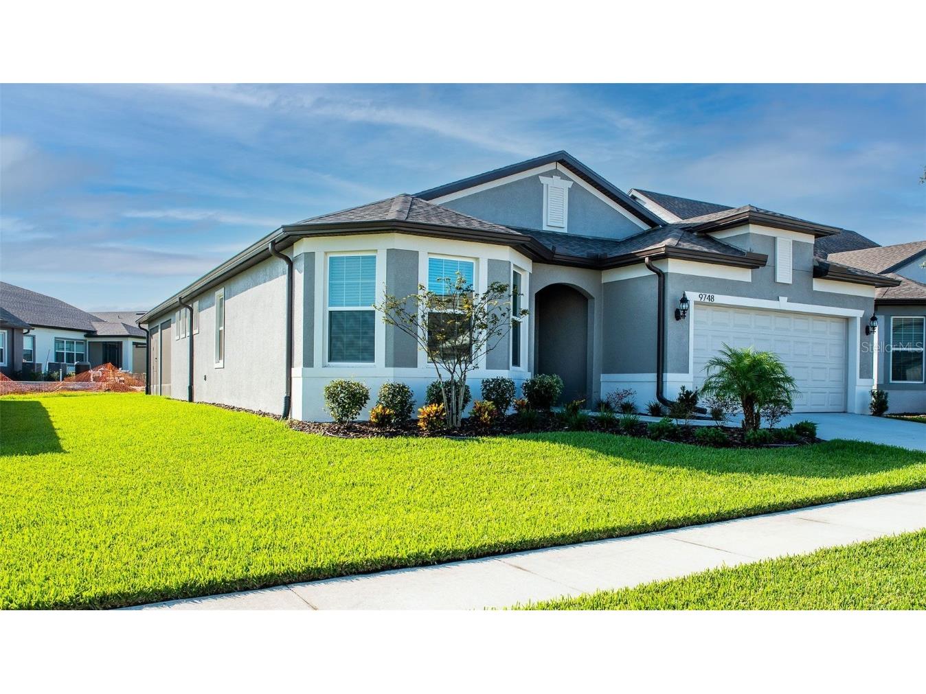 9748 Ibis Grove Boulevard Wesley Chapel FL 33545 T3335641 image1