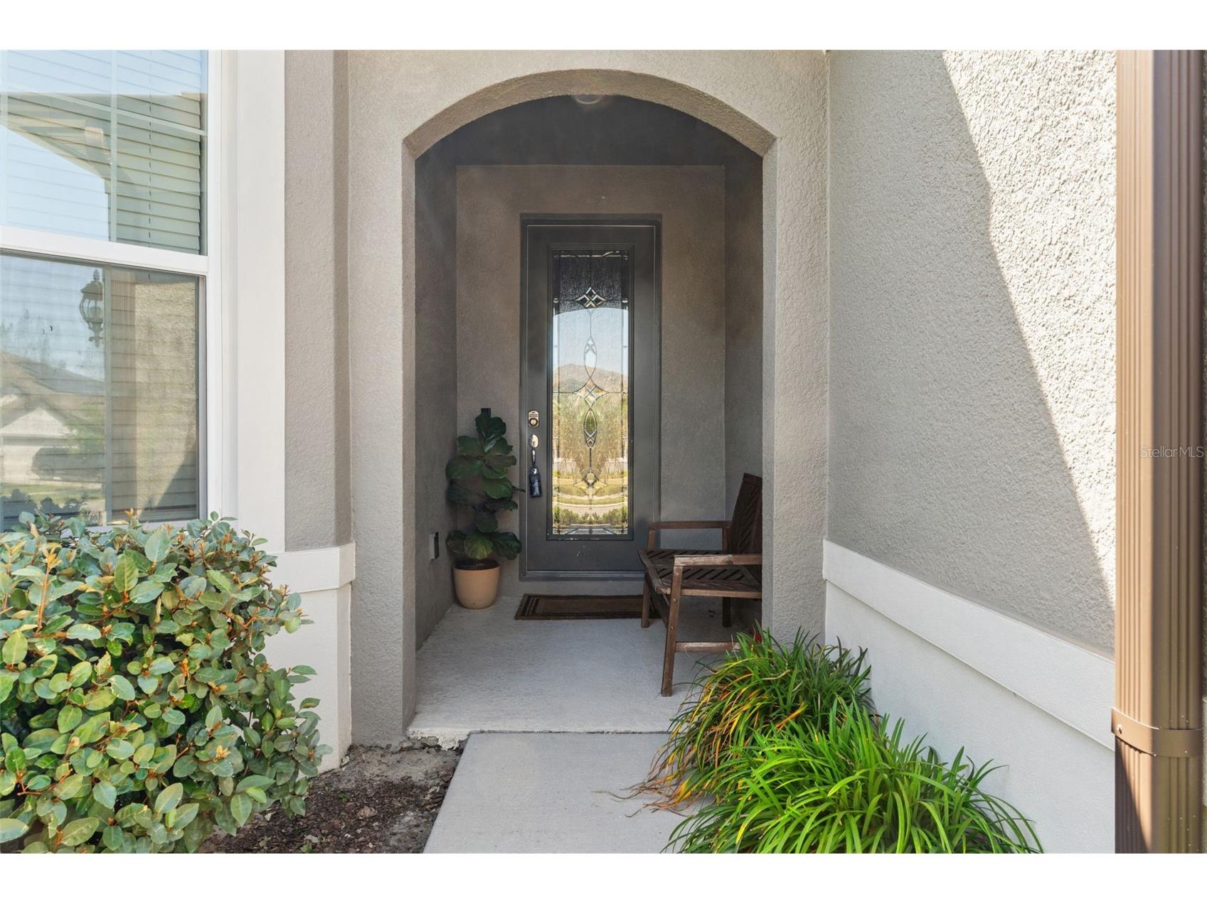 9748 Ibis Grove Boulevard Wesley Chapel FL 33545 TB8500732 image11