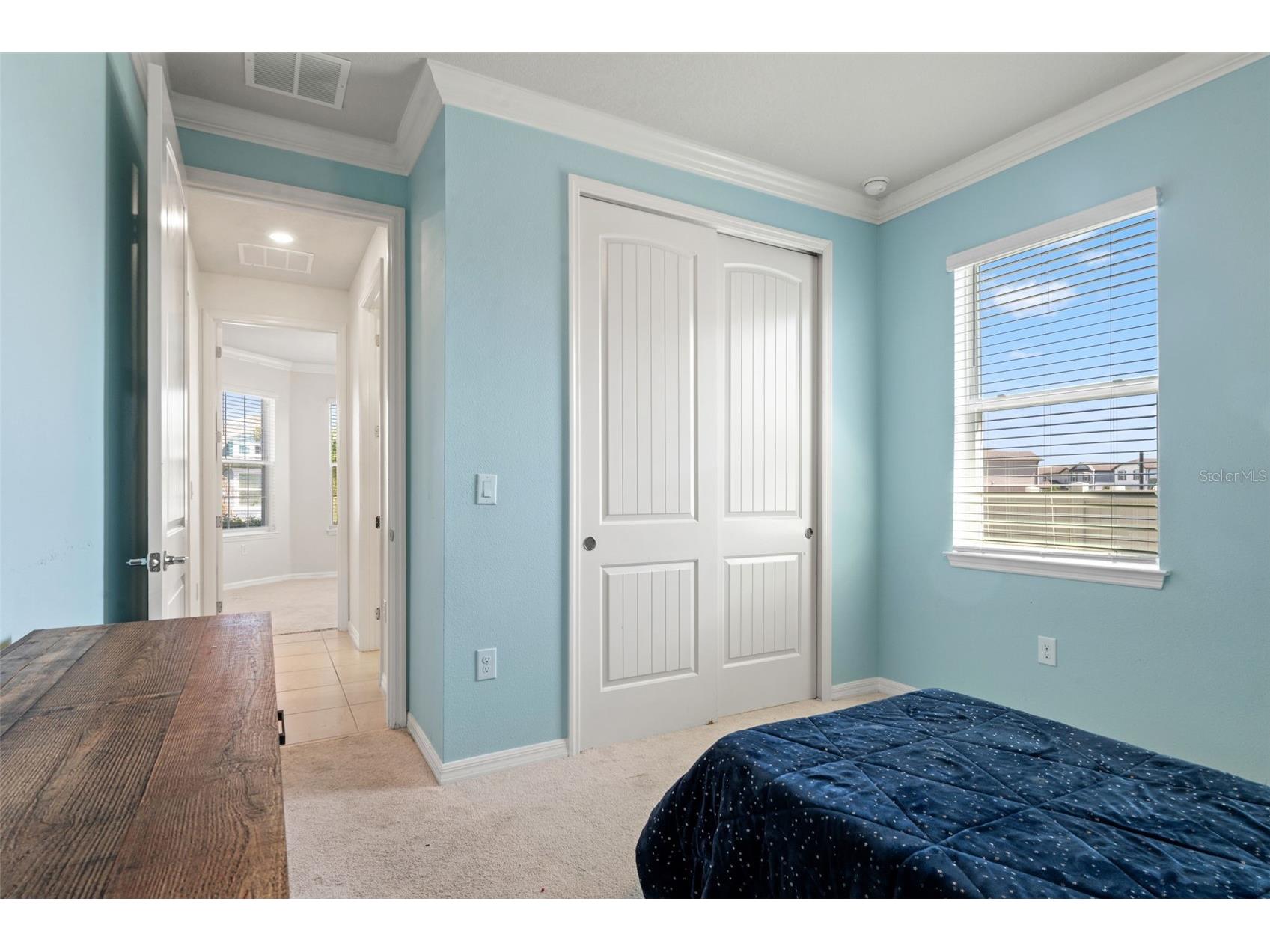 9748 Ibis Grove Boulevard Wesley Chapel FL 33545 TB8500732 image35