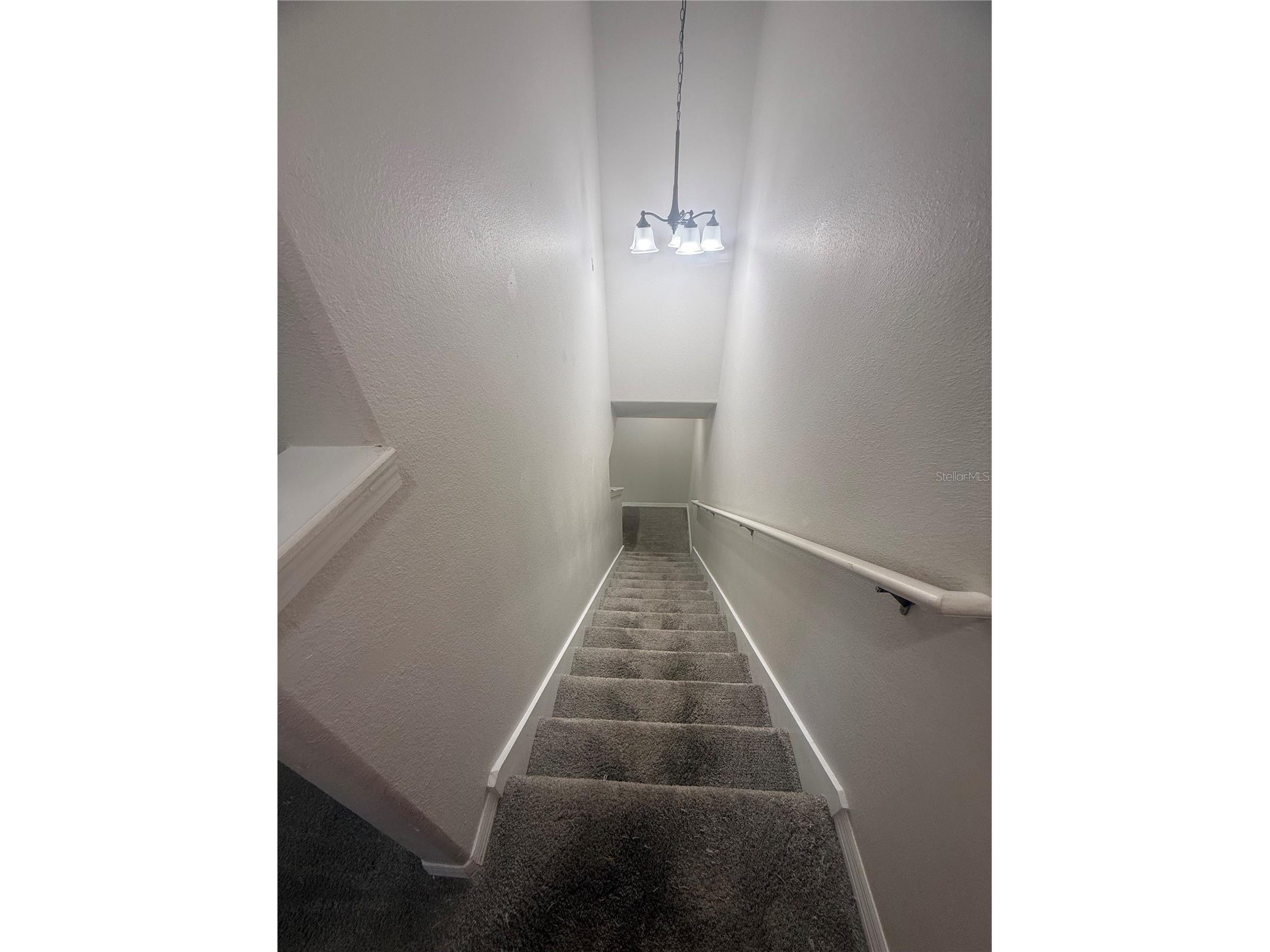 9749 Trumpet Vine Loop Trinity FL 34655 TB8489024 image14