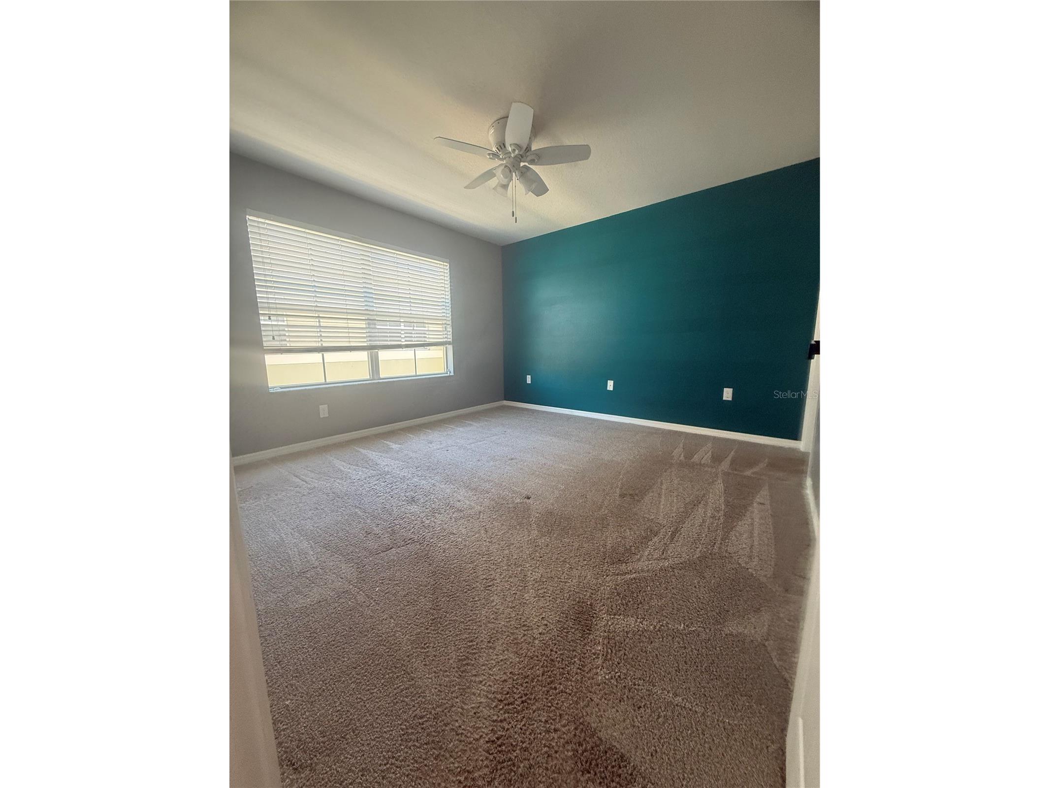 9749 Trumpet Vine Loop Trinity FL 34655 TB8489024 image15