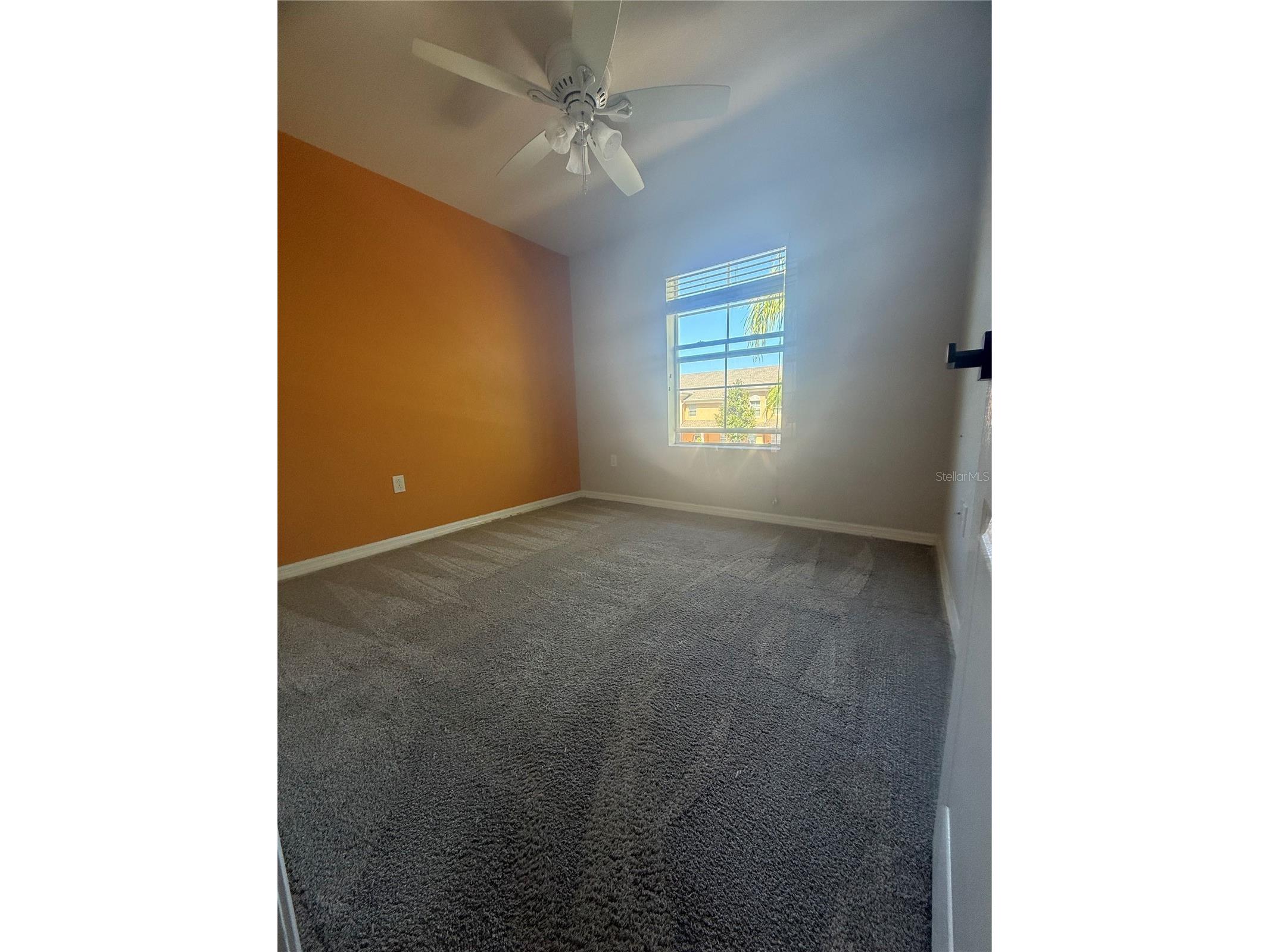 9749 Trumpet Vine Loop Trinity FL 34655 TB8489024 image17