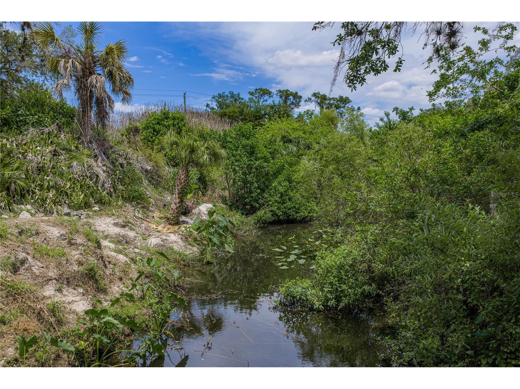 975 Caloosa Estates Drive Labelle FL 33935 TB8505014 image69