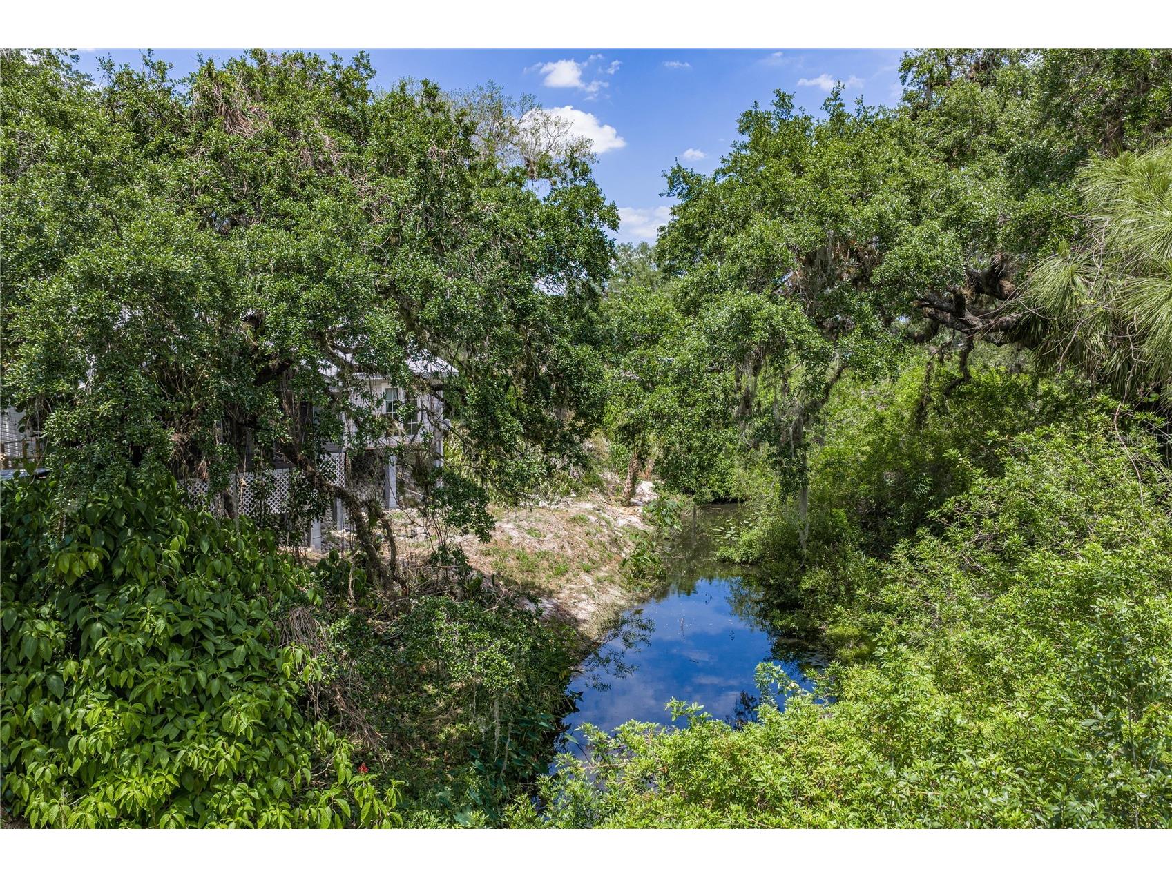 975 Caloosa Estates Drive Labelle FL 33935 TB8505014 image71