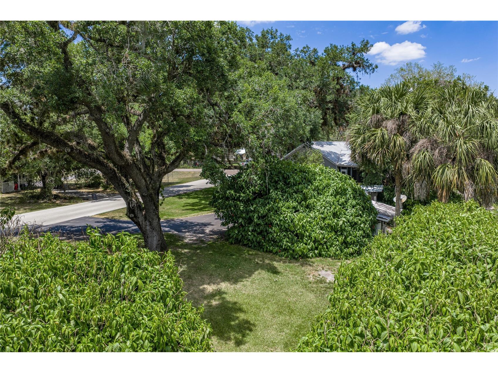 975 Caloosa Estates Drive Labelle FL 33935 TB8505014 image72