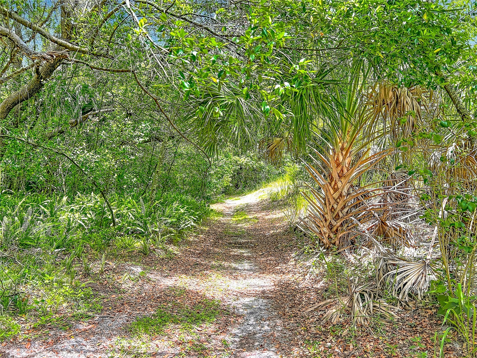 975 Dyson Drive Winter Springs FL 32708 O6417467 image69
