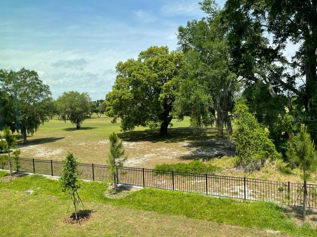 975 Robin Holly Street Ocoee FL 34761 O6357919 image29