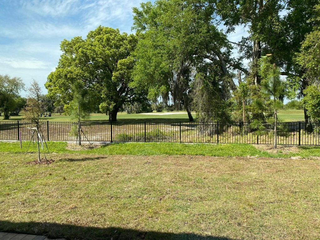 975 Robin Holly Street Ocoee FL 34761 O6357919 image33