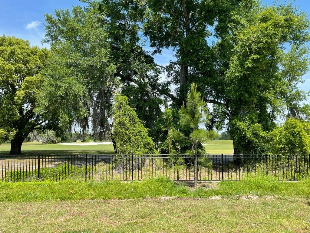 975 Robin Holly Street Ocoee FL 34761 O6357919 image35