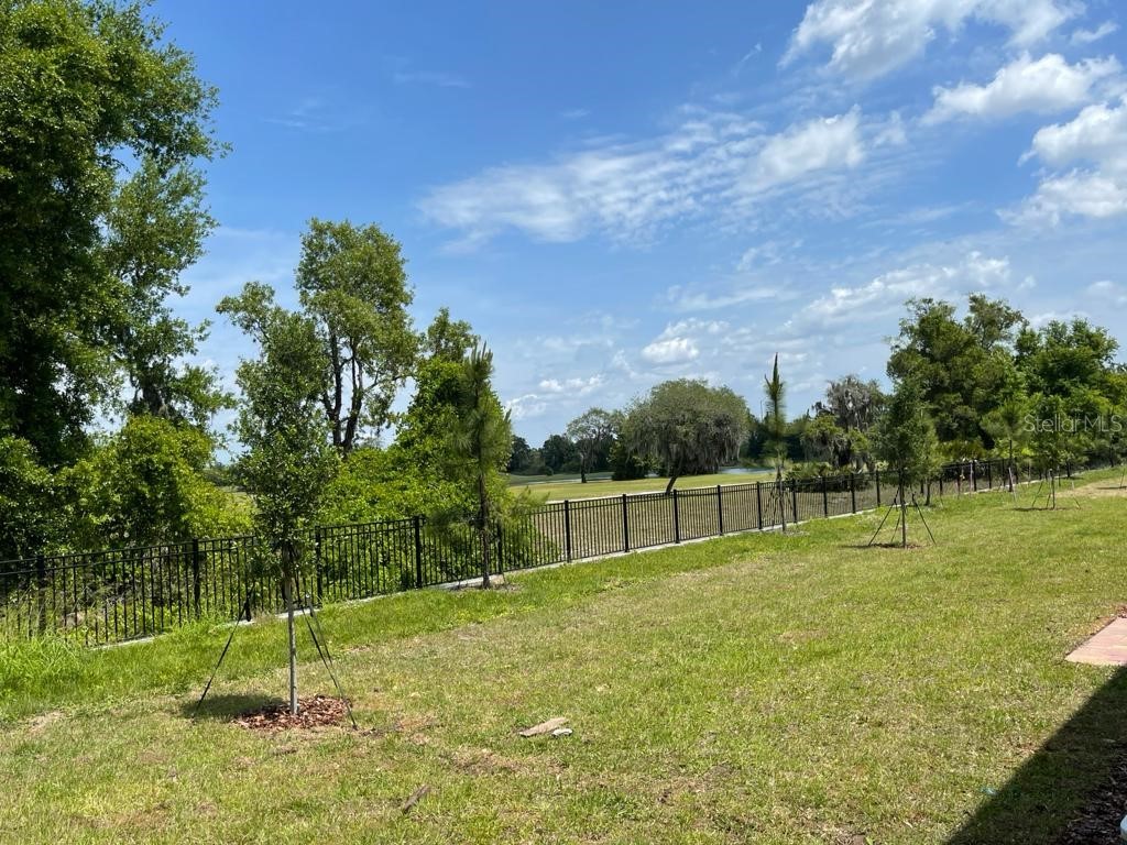 975 Robin Holly Street Ocoee FL 34761 O6357919 image36