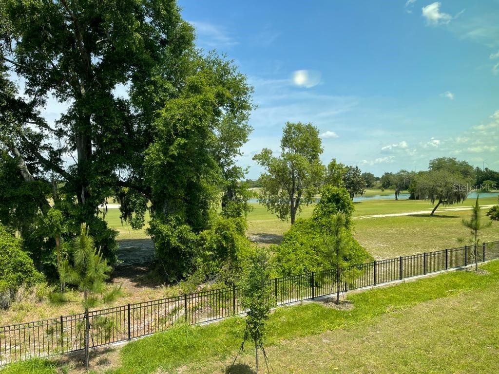 975 Robin Holly Street Ocoee FL 34761 O6357919 image37