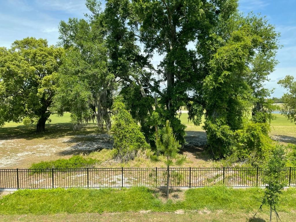 975 Robin Holly Street Ocoee FL 34761 O6357919 image38