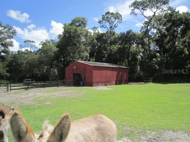 975 Rolling Acres Drive Deland FL 32720 V4944432 image16