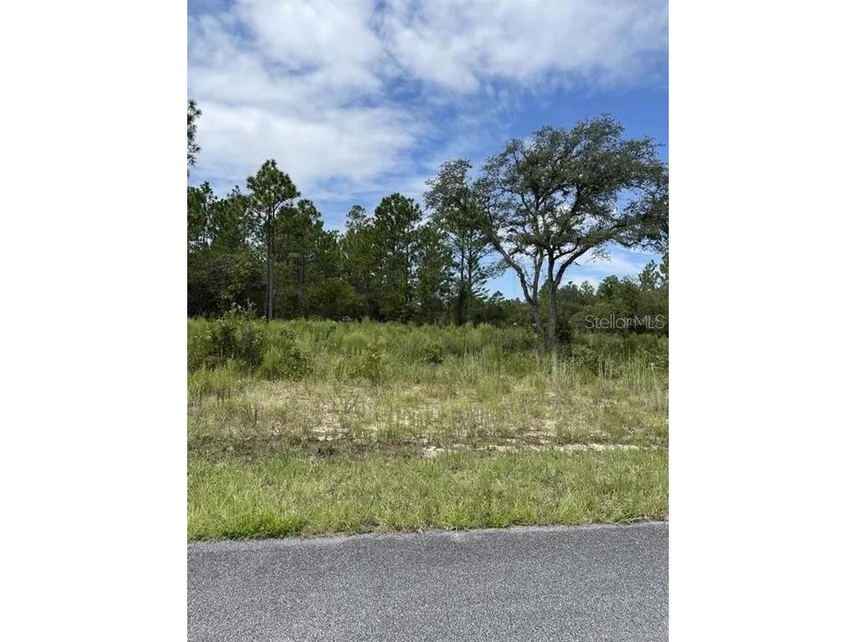 9750 N Lovell Drive Citrus Springs FL 34433 G5081384 image1