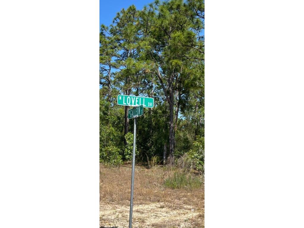 9750 N Lovell Drive Dunnellon FL 34433 O6206380 image1
