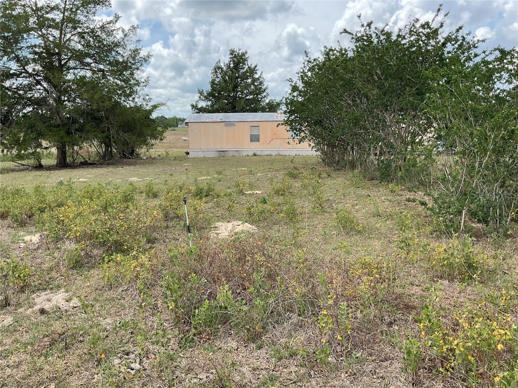 9750 NE 49th Street Bronson FL 32621 OM702731 image10