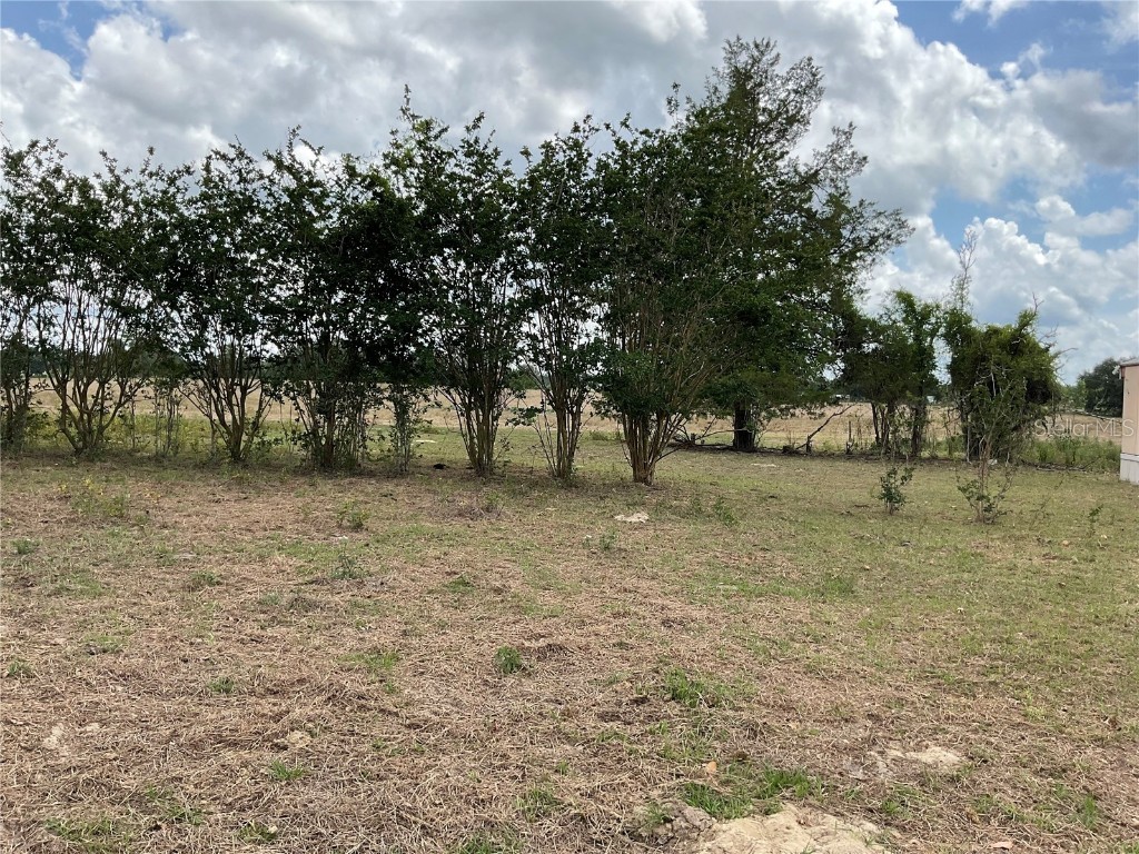 9750 NE 49th Street Bronson FL 32621 OM702731 image5